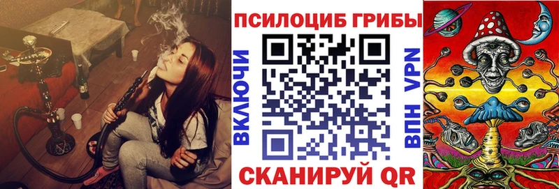 Купить  Цивильск  Псилоцибиновые грибы Cubensis 